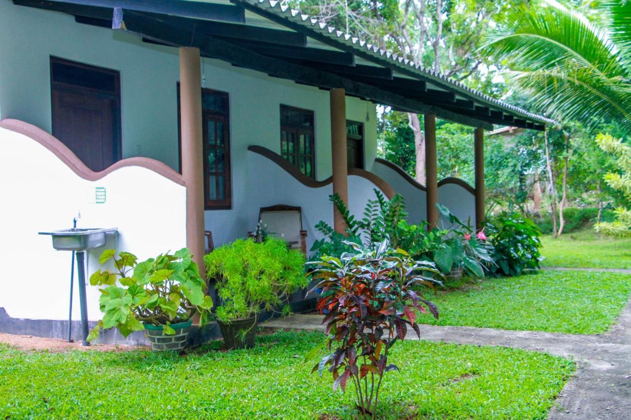Nimsara Lodge Szigirija Kültér fotó