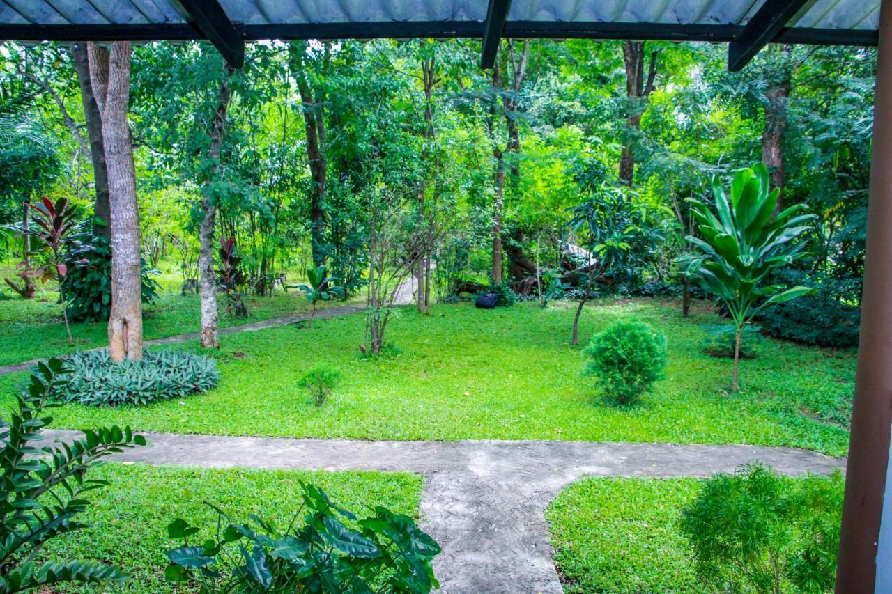 Nimsara Lodge Szigirija Kültér fotó