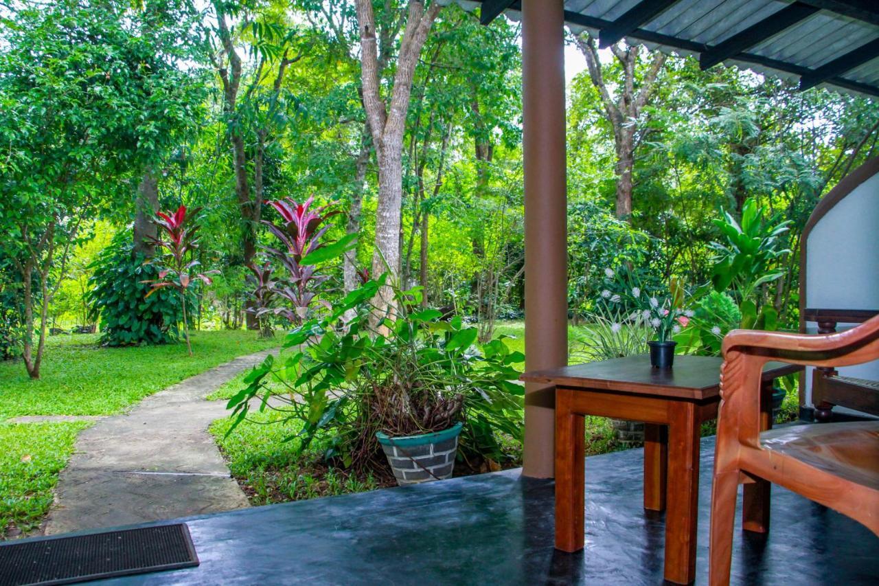Nimsara Lodge Szigirija Kültér fotó