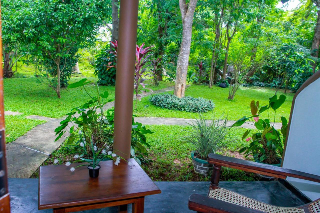 Nimsara Lodge Szigirija Kültér fotó
