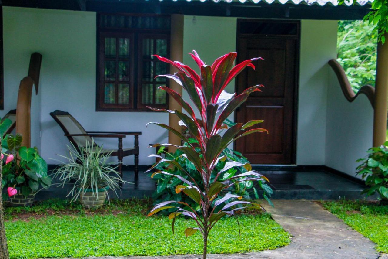 Nimsara Lodge Szigirija Kültér fotó