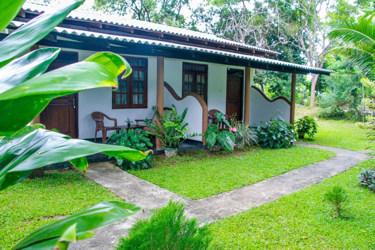 Nimsara Lodge Szigirija Kültér fotó