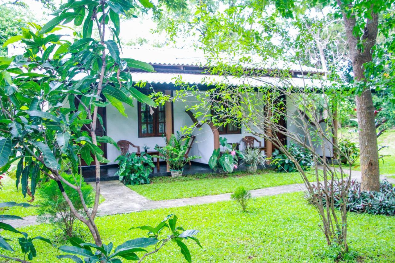 Nimsara Lodge Szigirija Kültér fotó