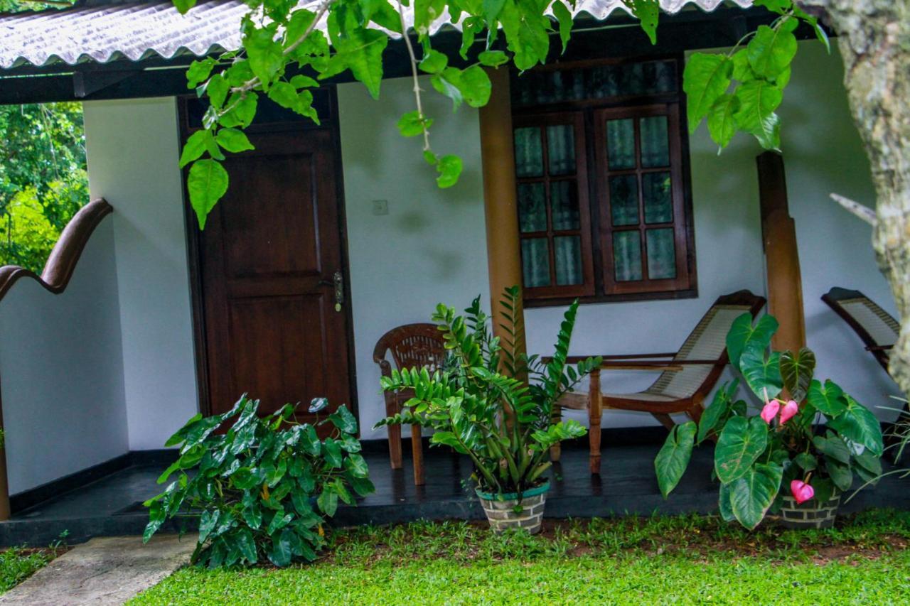 Nimsara Lodge Szigirija Kültér fotó